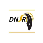DNSR