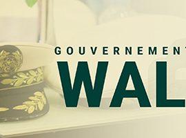 Rencontre Gouvernement Walis