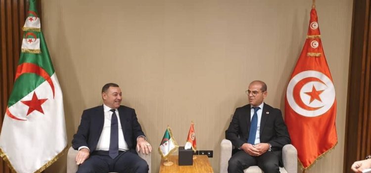 وزير الداخلية والجماعات المحلية والنقل يتباحث مع وزير التجهيز و الإسكان التونسي