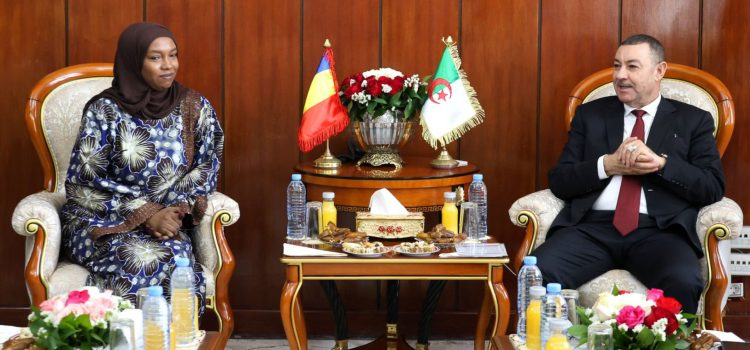 وزير الداخلية و الجماعات المحلية و النقل يستقبل وزيرة النقل التشادية