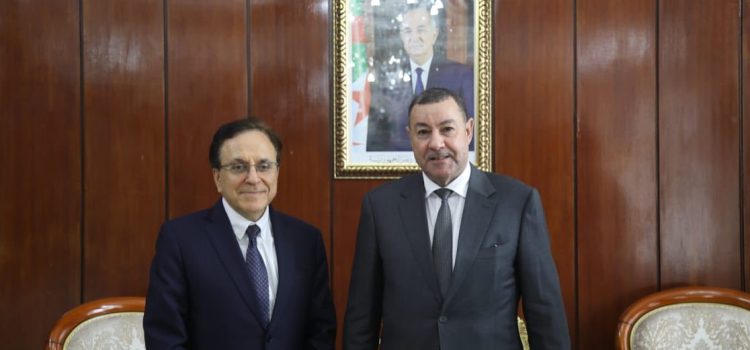 وزير الداخلية يستقبل الرئيس المدير العام للحركة الإفريقية للهوية الرقمية من أجل إفريقيا